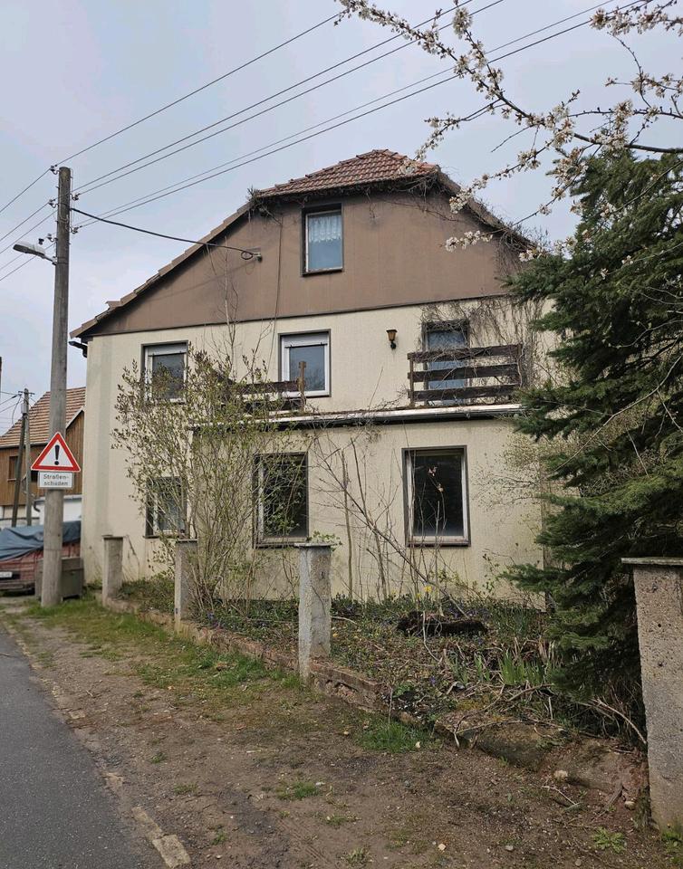 Thumbnail-Großes Einfamilienhaus