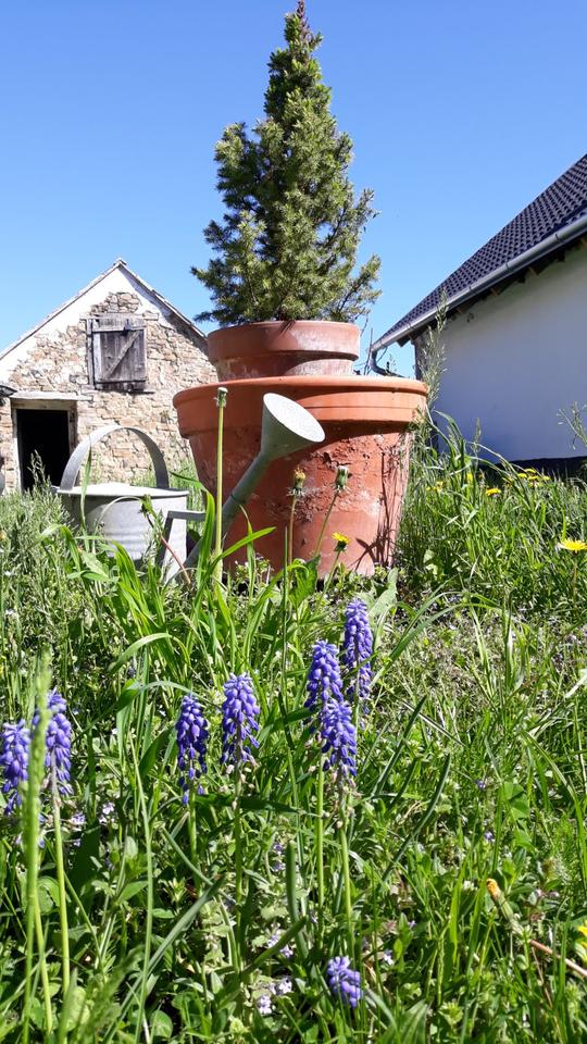 Thumbnail-Haus am Balaton