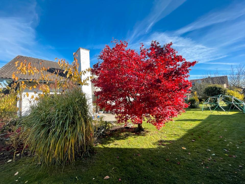 Thumbnail-Exklusives Zweifamilienhaus mit Einliegerwohnung,