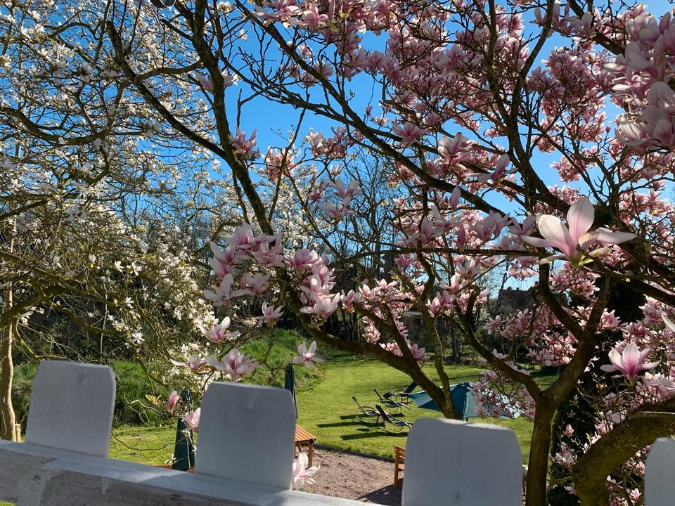 Thumbnail-Apartment zu vermieten