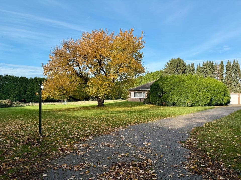 Thumbnail-Gepflegter Bungalow mit großem Grundstück, Vollkeller, Sauna