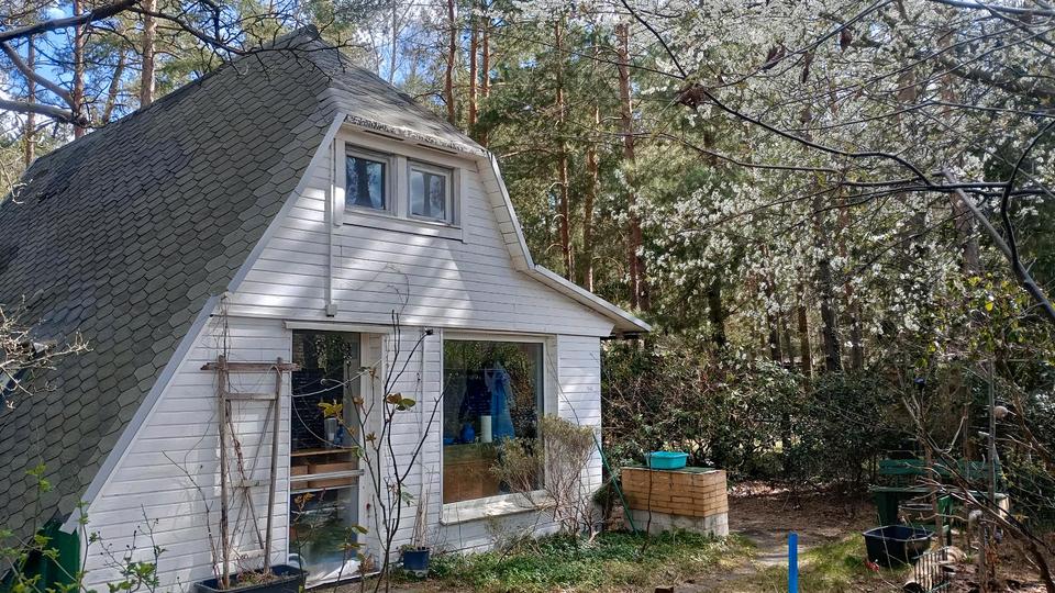 Thumbnail-Waldgrundstrück mit Hütte und Garage