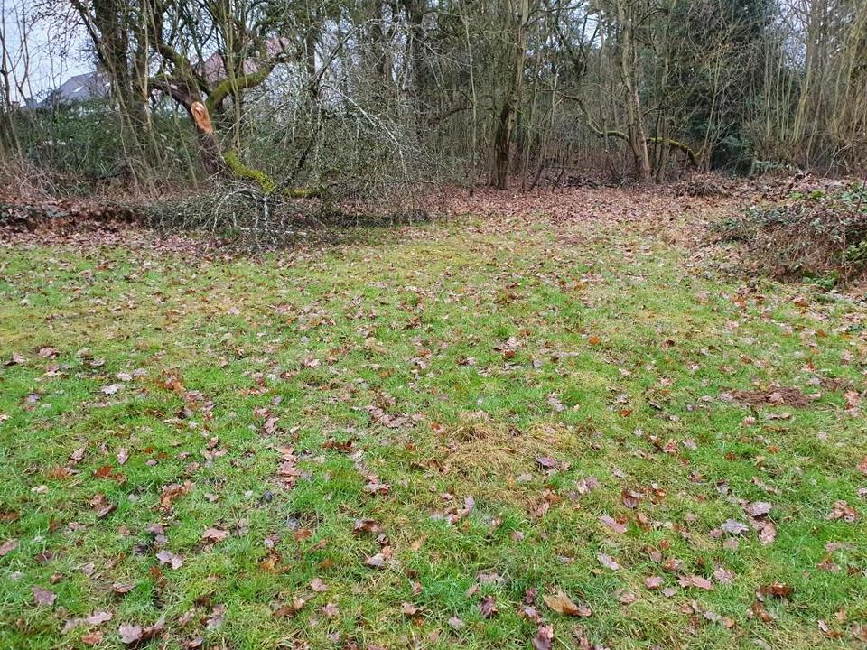 Thumbnail-1300m² Garten Wiese Weide in Oberursel nahe Maasgrund Heide