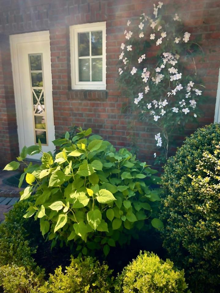 Thumbnail-wunderschöne Design Ferienwohnung in Greetsiel - Last Minute