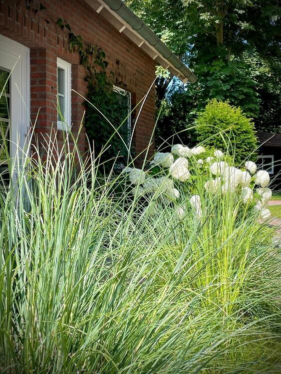 Thumbnail-bezaubernde Ferienwohnung in Greetsiel - Last Minute möglich