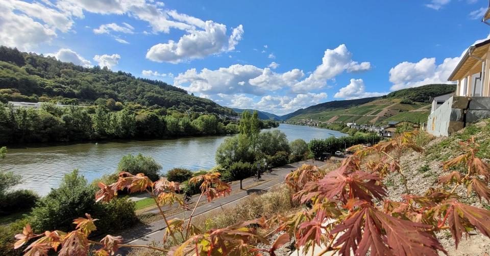 Thumbnail-Schönster Moselblick - begonnener NeubauBauplatz in Zell