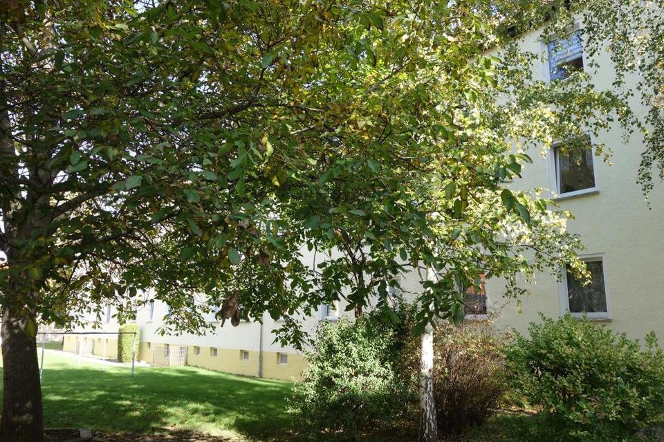 Thumbnail-Große Wohnung gewünscht?