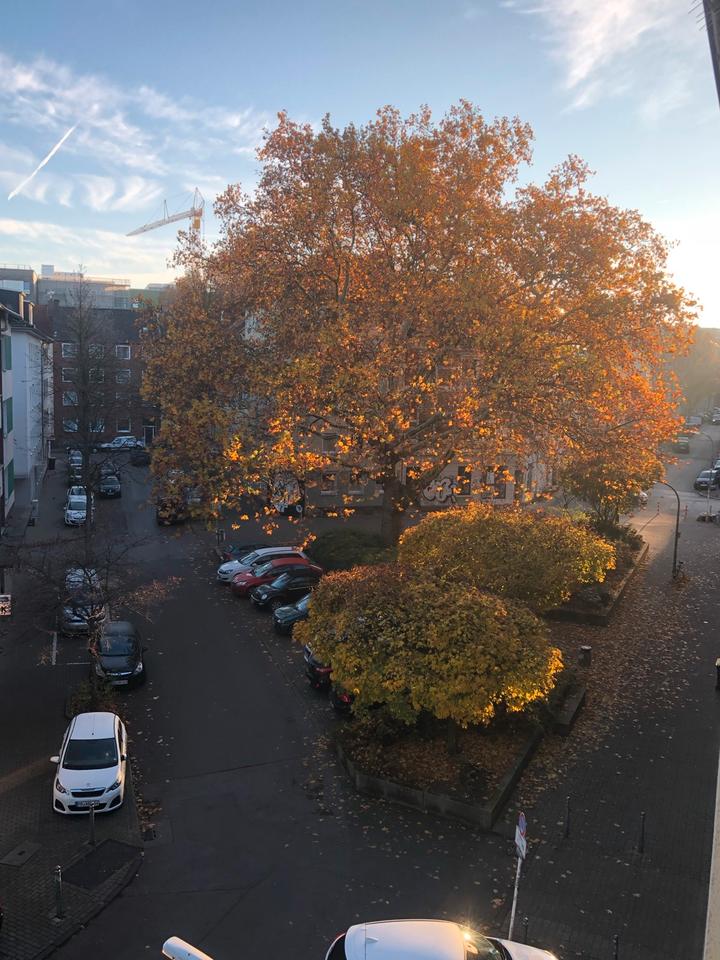 Thumbnail-** Hübsches Appartement im Klinikviertel **