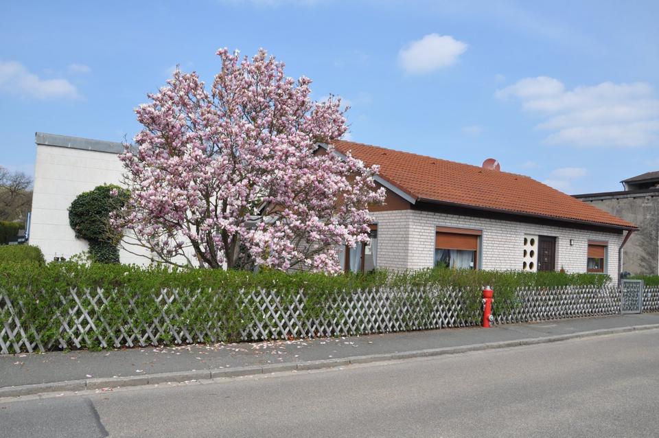 Thumbnail-Einfamilienhaus in Feucht
