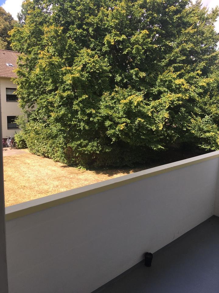 Thumbnail-4-Zimmer-Wohnung mit 84 qm ab 01.09. im Eckernfeld zu vermieten