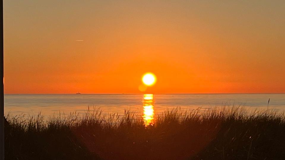 Thumbnail-Ostseeurlaub im Juni im Meerflair Graal-Müritz