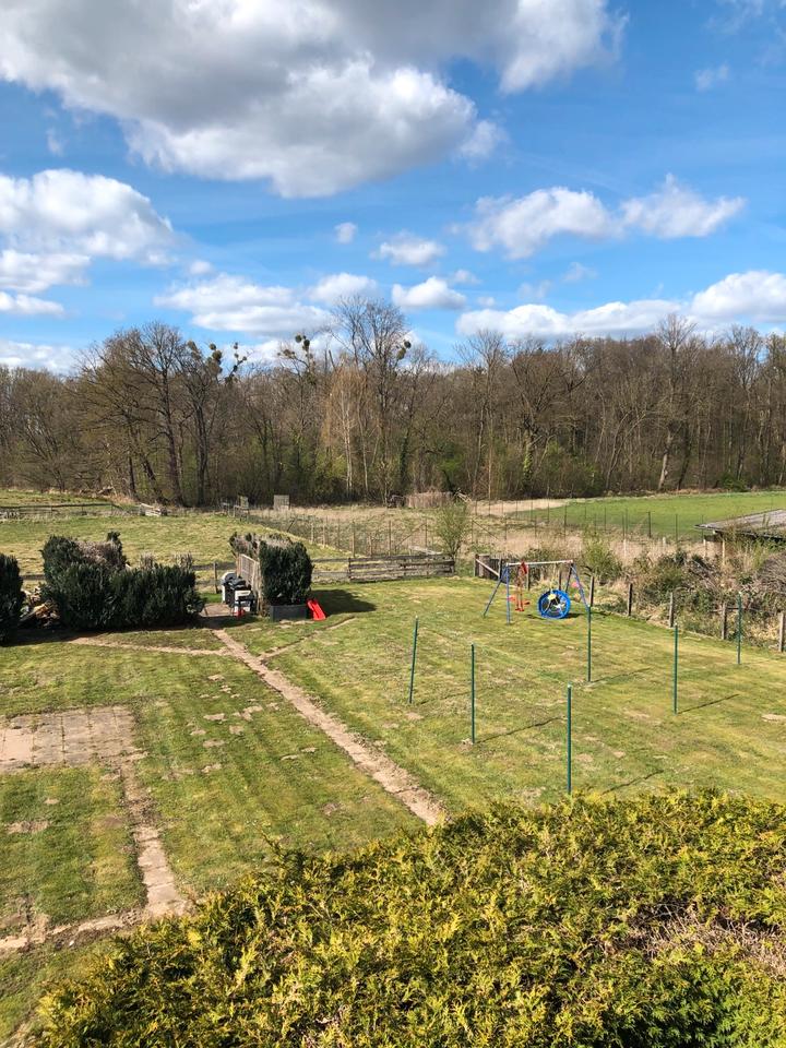 Thumbnail-in Hagenburg eine 3Zimmer Wohnung an