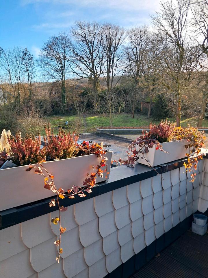 Thumbnail-Ruhige,naturnahe 2-Zimmer Wohnung in Hürtgenwald-Gey zu vermieten