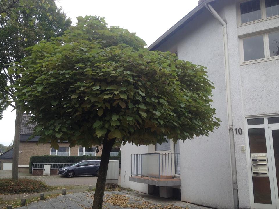 Thumbnail-Mehrfamilienhaus in Bocholt