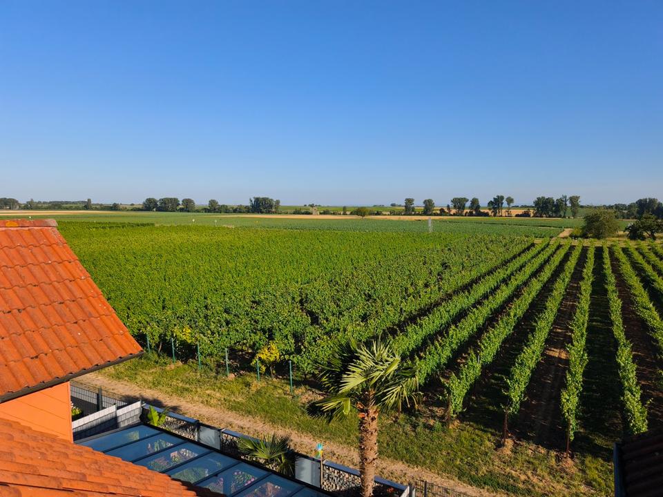 Thumbnail-wunderschönes Zweifamilienhaus in idyllischer Lage | von privat