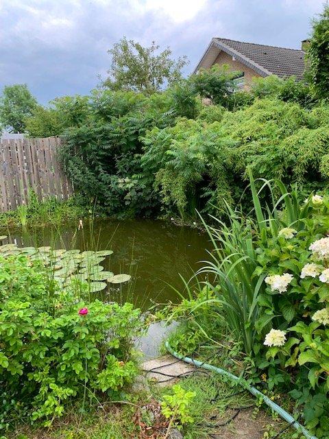 Thumbnail-3,5 Zimmer Maisonette-Wohnung mit großem Obstgarten und Teich