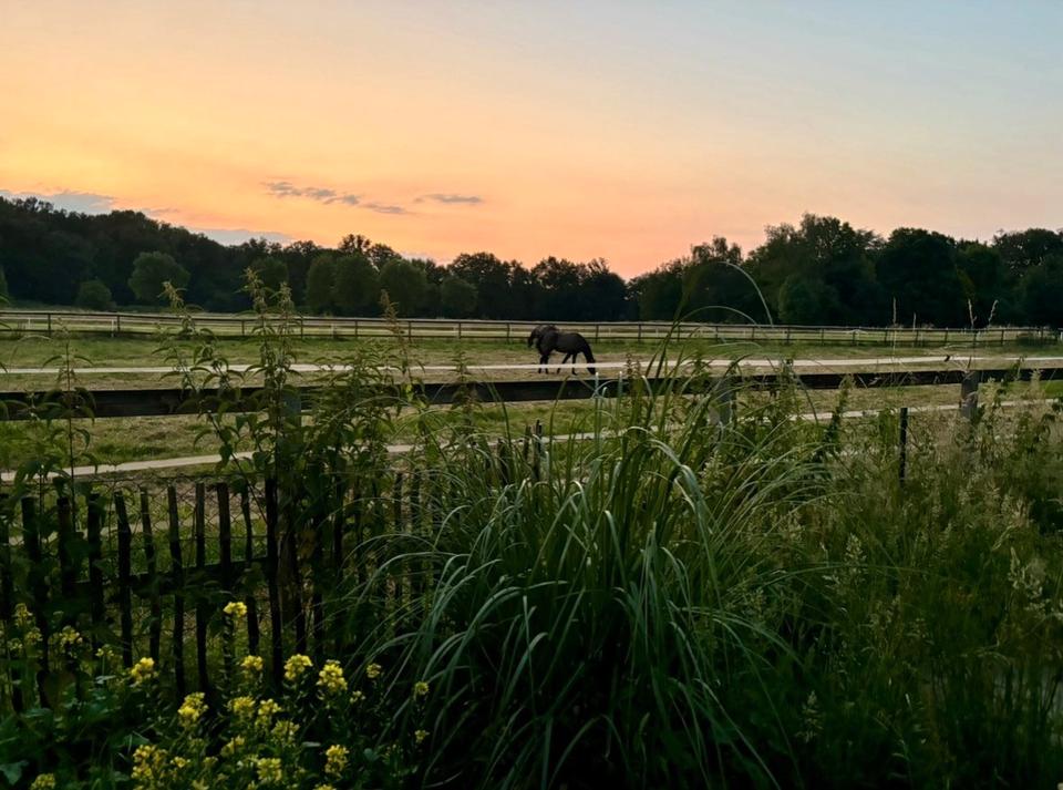 Thumbnail-Großzügiges Einfamilienhaus zu vermieten