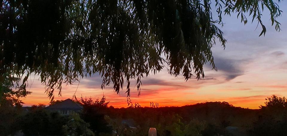 Thumbnail-Haus in Buckow