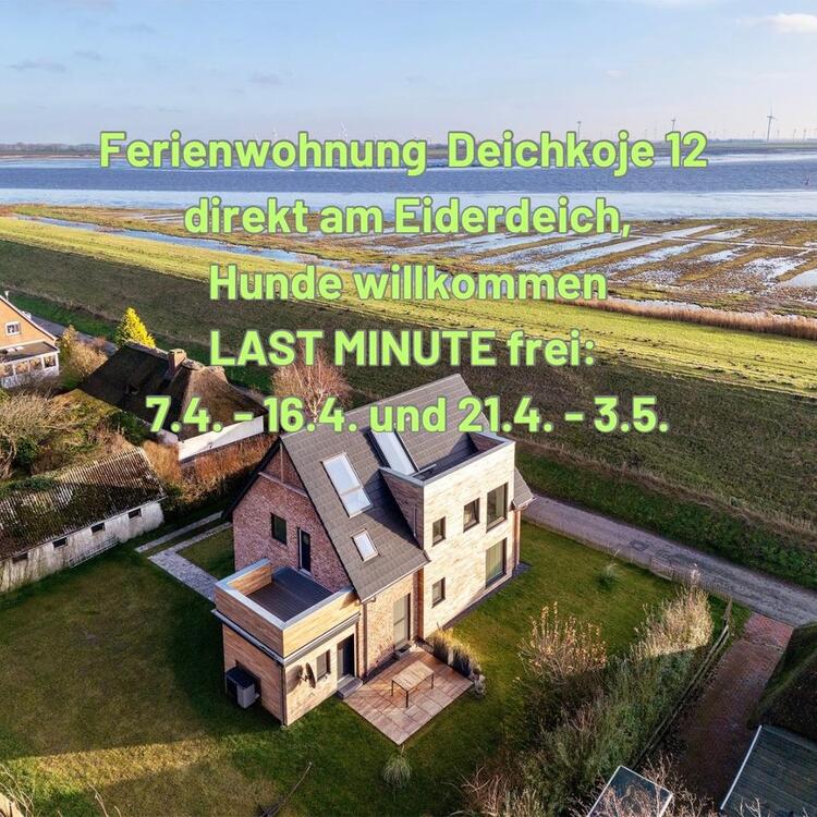 Thumbnail-Ferienwohnung direkt am Eiderdeich Nordsee Last Minute mit Hund
