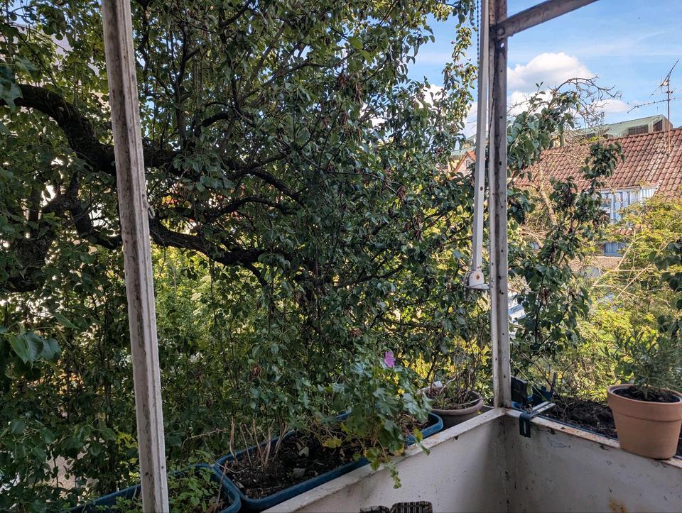 Thumbnail-4 Zimmer Wohnung mit Balkon Feuerbach