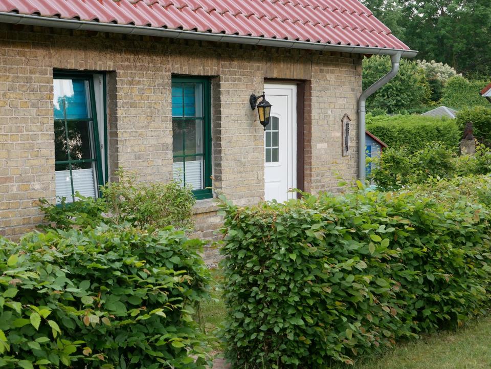 Thumbnail-Ferienwohnung Müritz Mecklenburgische Seenplatte