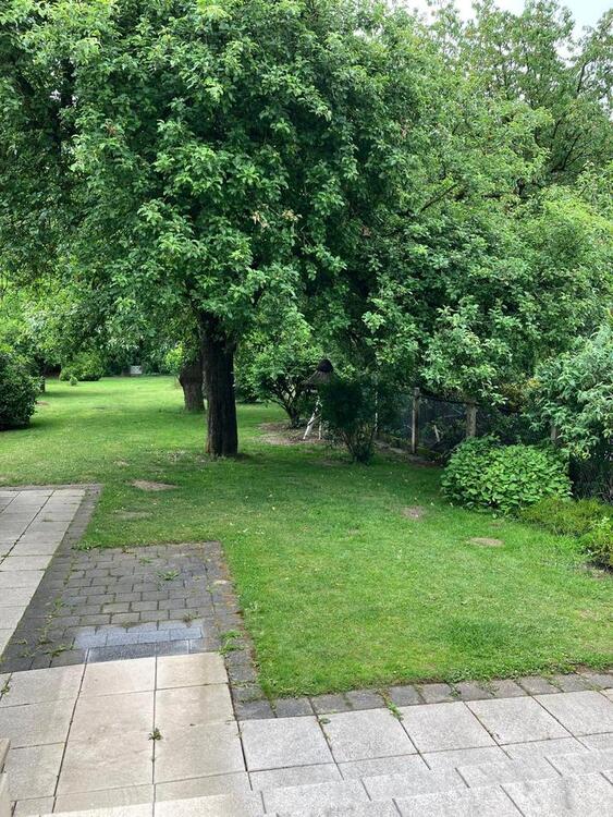 Thumbnail-Perfekt für Singles oder Paare: 3-Zimmer-DG-Wohnung im Grünen nah