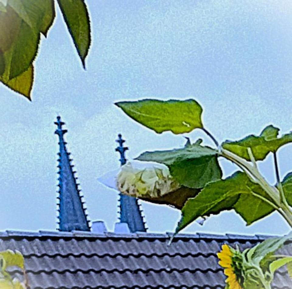 Thumbnail-Aufstockungsfähiges Dachgeschoß (Domblick, Parklage) zu verkaufen