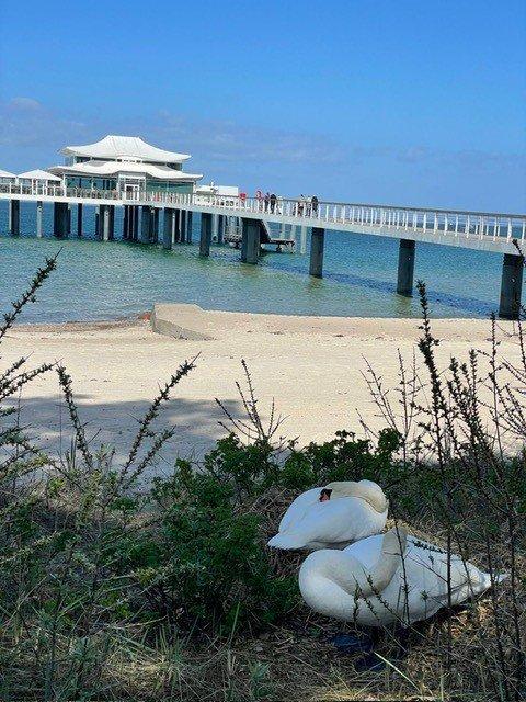 Thumbnail-⚓Ferienwohnung Timmendorfer Strand mit Pool & Bikes
