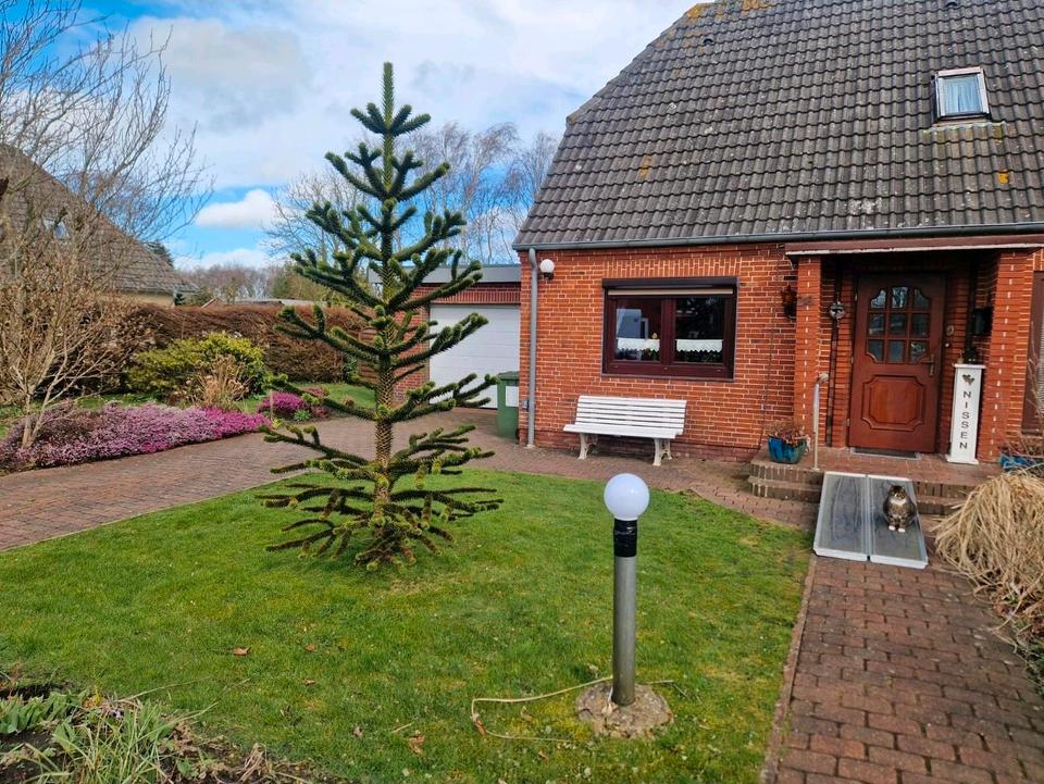 Thumbnail-Haushälfte in Risum-Lindholm – 130 qm Wohnfläche von privat