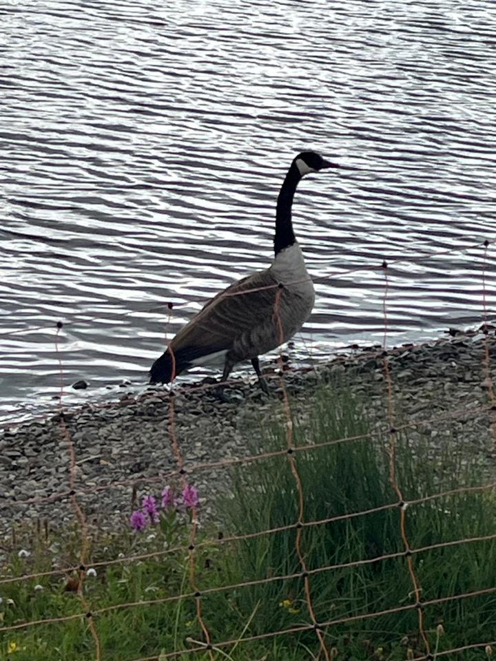 Thumbnail-3 Zimmer-Wohnung Erfurt Stadt