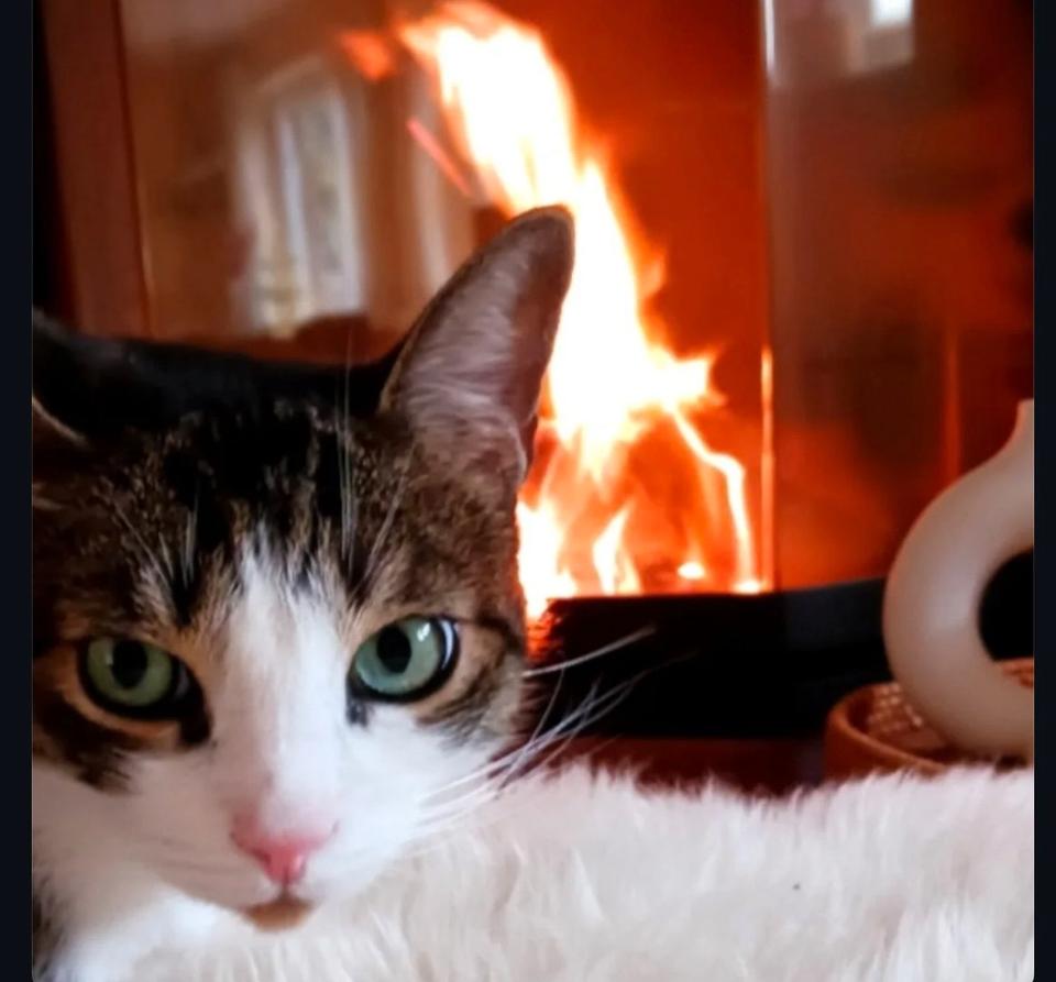 Thumbnail-‼️ Top Ferienunterkünfte ‼️ bis zu 15% Rabatt ‼️