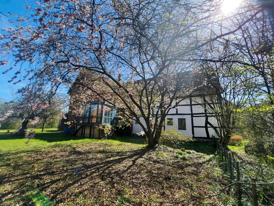 Thumbnail-Grosses, interessantes Haus in Coppenbrügge Diedersen