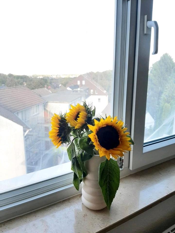 Thumbnail-1-Zimmer Wohnung direkt an der TU Dortmund