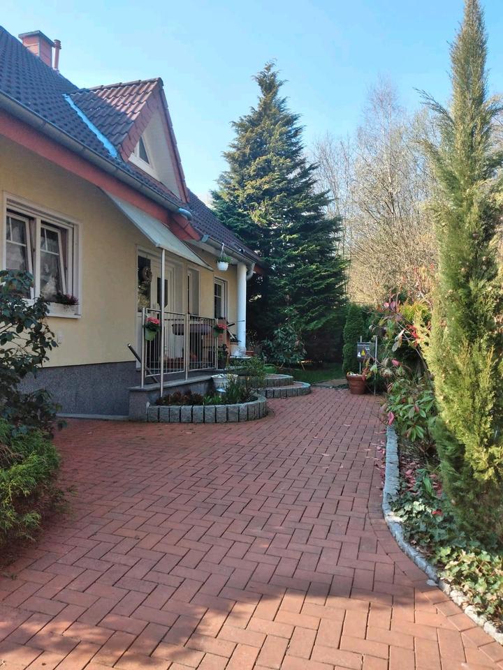 Thumbnail-3 Zimmer Souterrain Wohnung in Bi- Brake mit Kamin