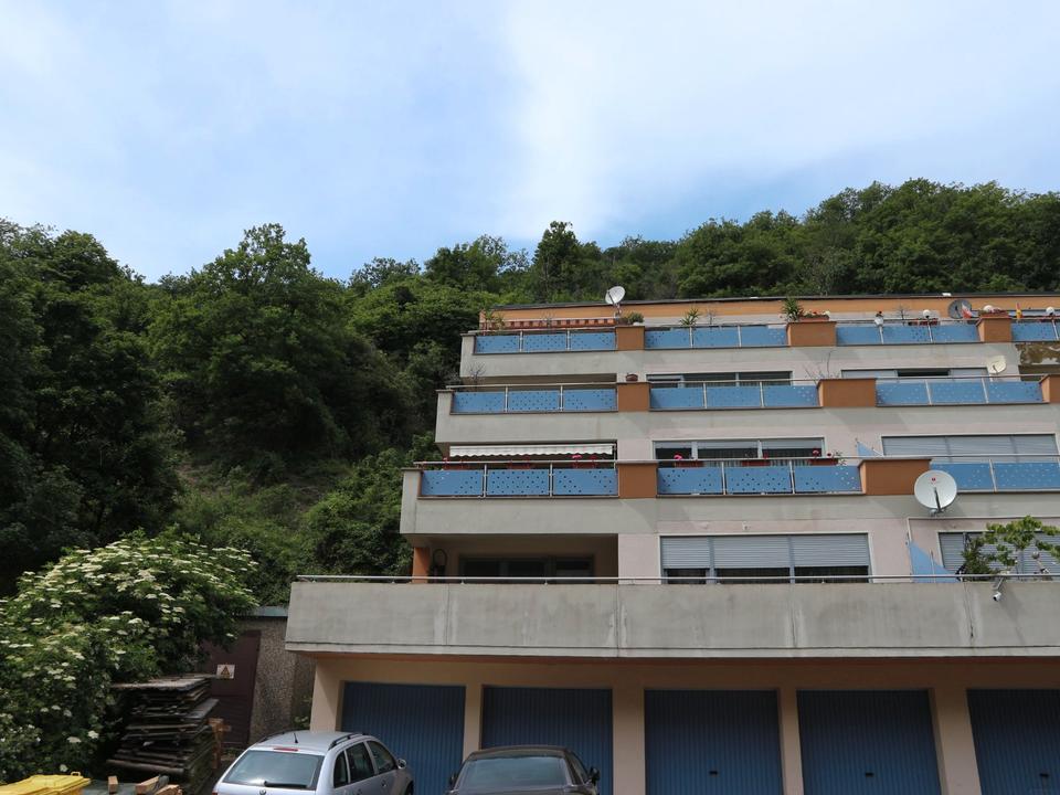 Thumbnail-Natur & Ruhe genießen: 4-Raum-Wohnung mit großer Südwestterrasse