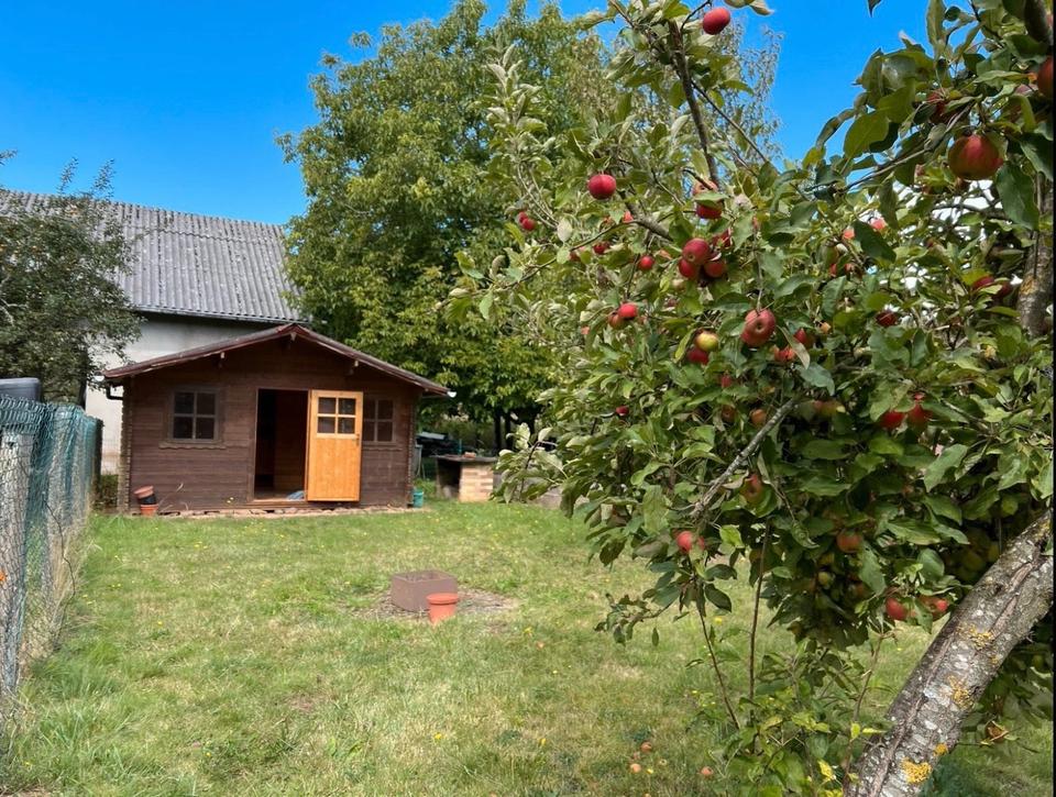 Thumbnail-5ZKB zu Vermieten in Völklingen Lauterbach