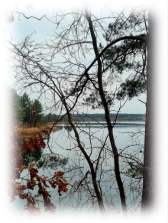 Thumbnail-Helle, freundliche 3 Raumwohnung im Top Zustand zu vermieten