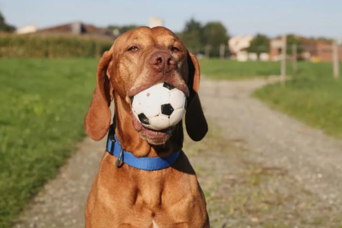 Thumbnail-Ohne Eigenkapital möglich. Mietkaufimmobilie abzugeben.