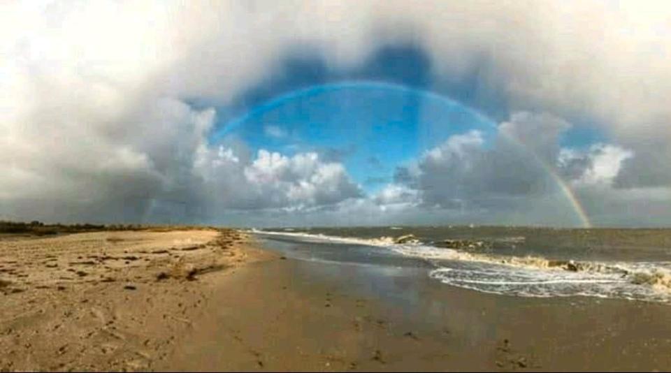 Thumbnail-Ostern Pfingsten Ferienwohnung Nordsse Friesland Wangerland