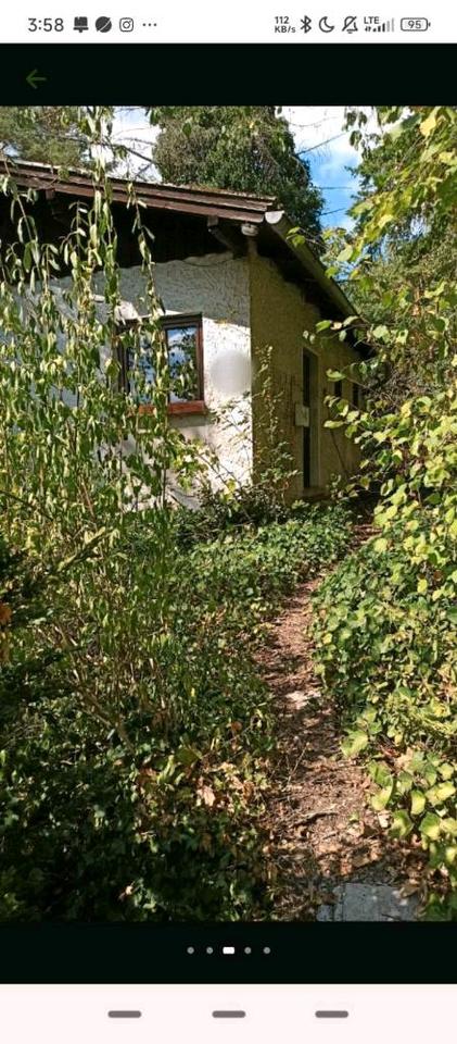 Thumbnail-Singlehaus 55 qm mit 15 qm Kaltwintergarten am Waldrand