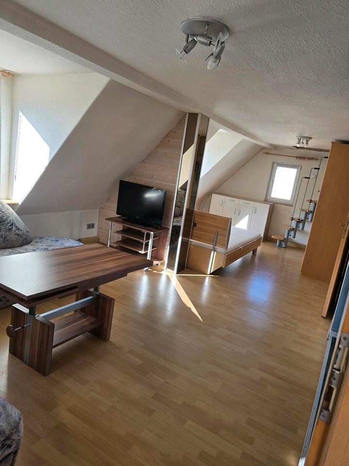 Thumbnail-Helle möblierte DG-Wohnung 'Loft' & Dachboden in Feuerbach