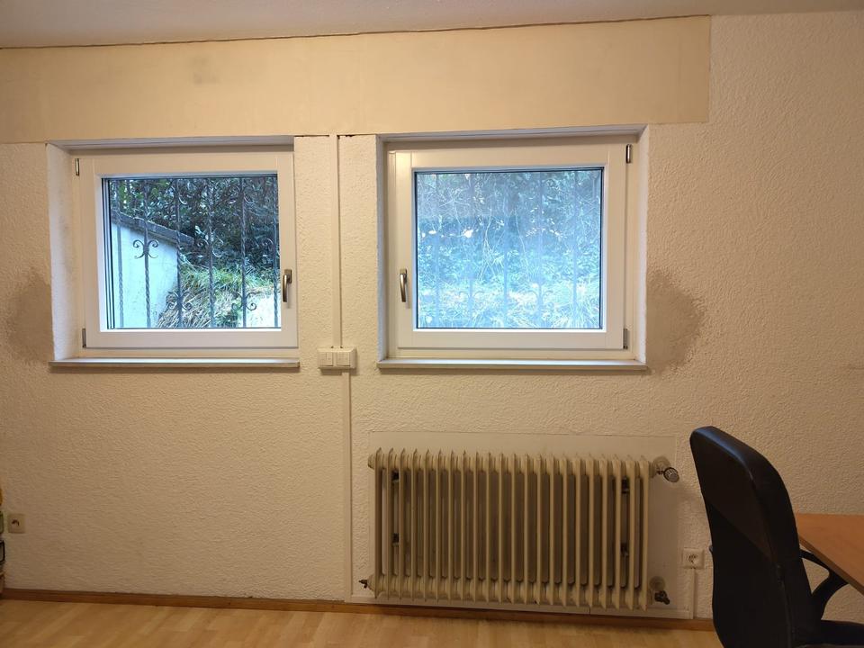 Thumbnail-3 Zimmer Souterrainwohnung in LehenLandwasser