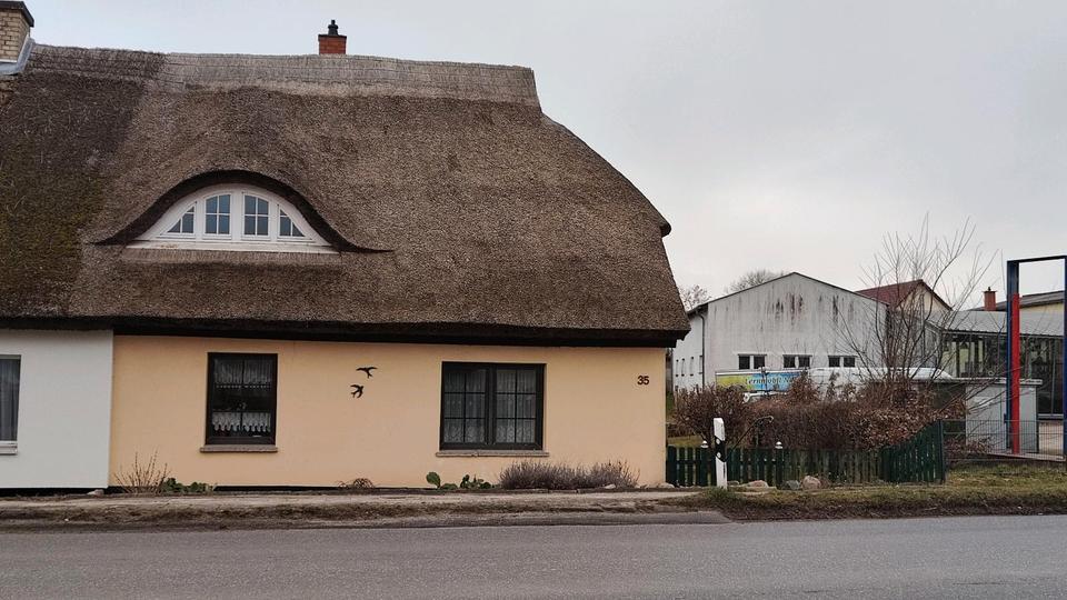 Thumbnail-Einfamilienhaus Doppelhaushälfte 1813qm Eigentumsgrundstück