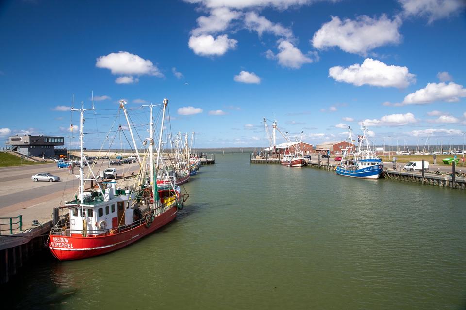 Thumbnail-Ferienwohnung in Dornum | Dornumersiel • Hunde sind Willkommen