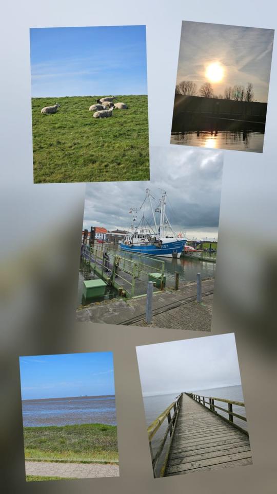 Thumbnail-2026:Ferienhaus Burhave Nordsee, 3SZ, 2 Bäder, ebenerdig, Hunde