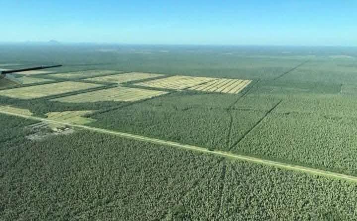 Thumbnail-Investitionsoase im Herzen Südamerikas: 12500 Ha.