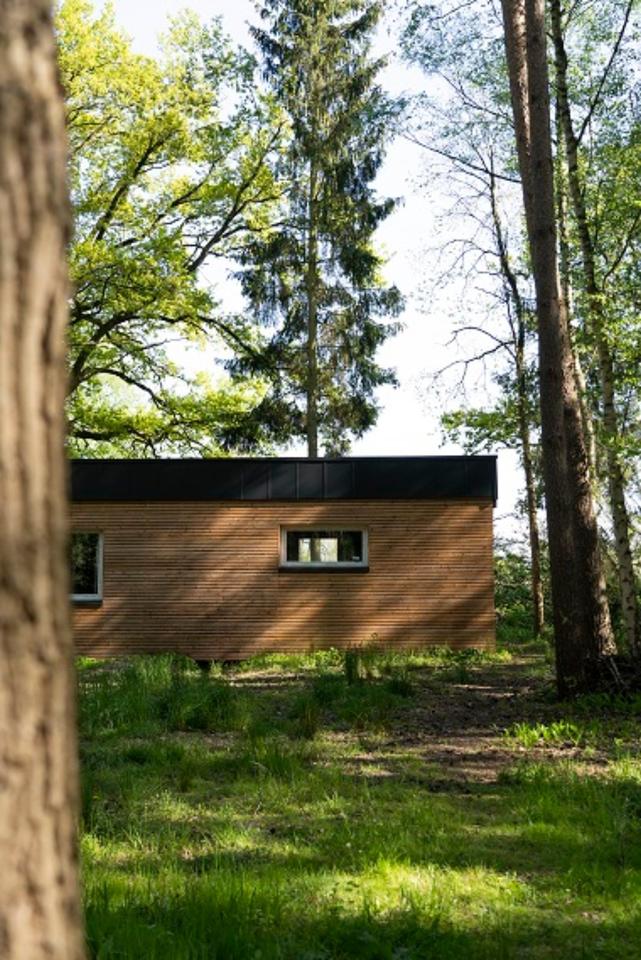 Thumbnail-Energysaver Mighty House in der Alleraue Wienhausen OT Nordburg