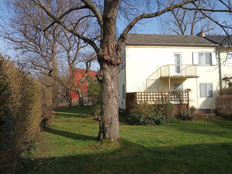 Thumbnail-Doppelhaushälfte mit großen Garten, Sanierungsobjekt oder Neubau