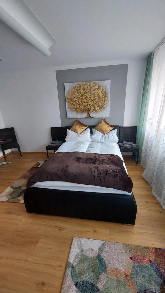 Thumbnail-Kurzzeitvermietung 1Zimmerapartment in Bad Füssing