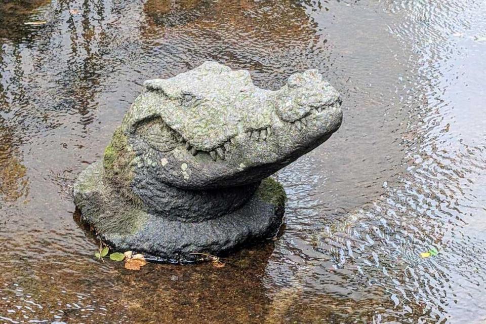 Thumbnail-Reif für die Insel? 2-Zimmer-Wohnung in Freiburg zum Verkauf